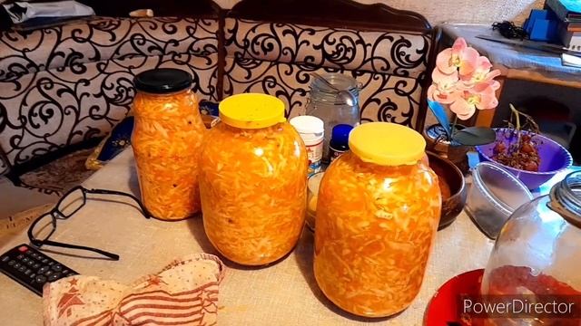 15 ноября 2022 г.//Квасим, цедим...)))