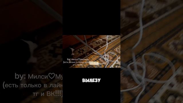 Васин день!!!