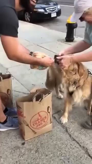Не отдам! 🐶😉❤️😘