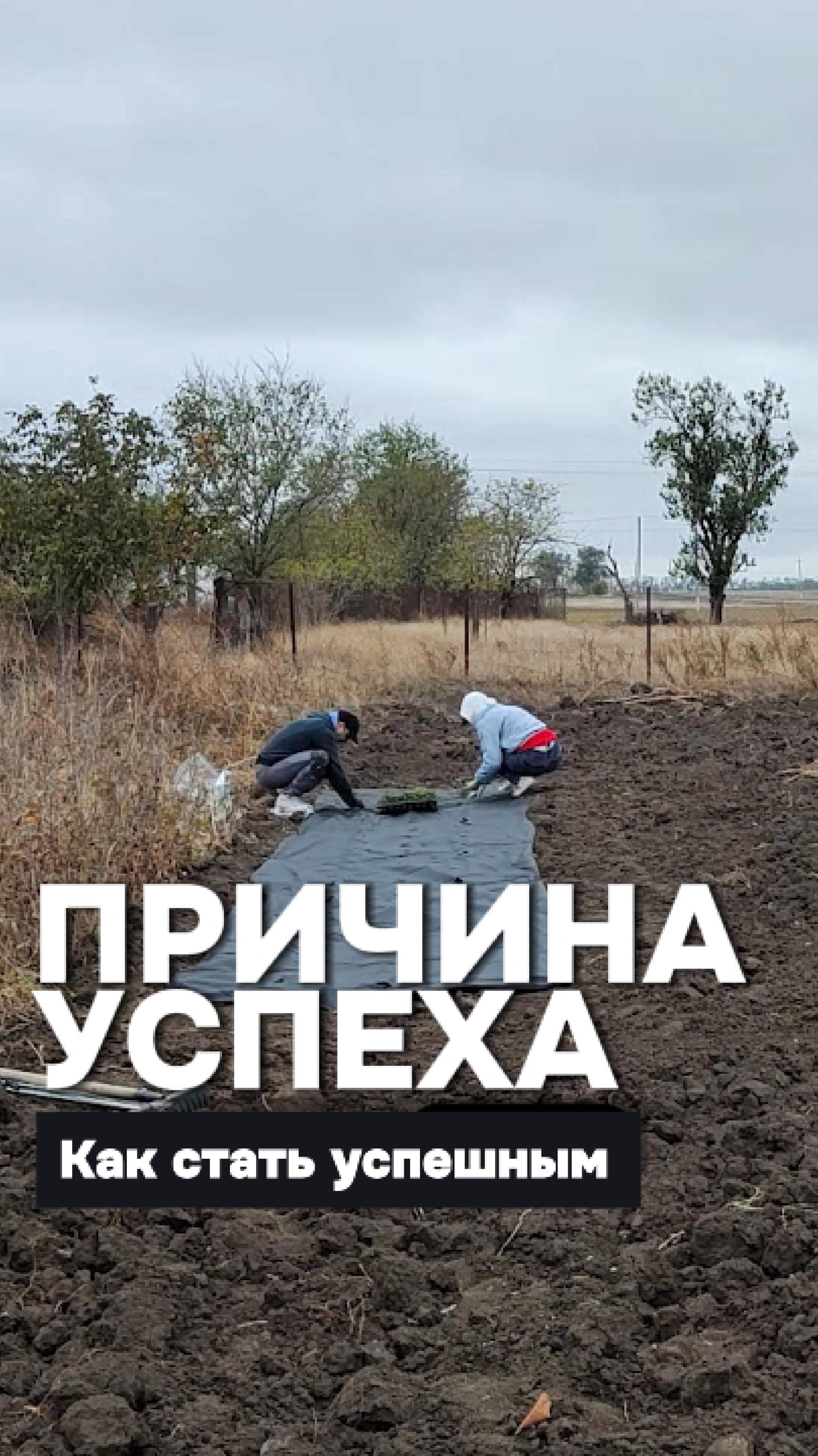 Причина успеха! Как стать успешным! #Мотивация, #красивосказано, #мудрость, #motivation