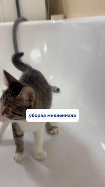 Артикул на WB #234577722 
Ozon #1664064287
#Чистящаяпаста - мое идеальное средство уборки!