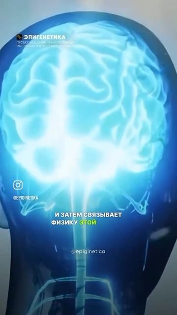 #шишковиднаяжелеза