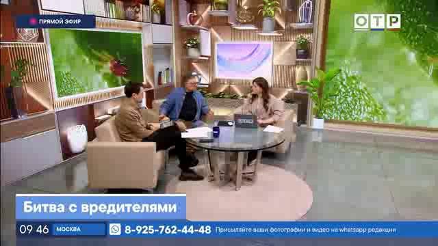 Огород – это не только радость