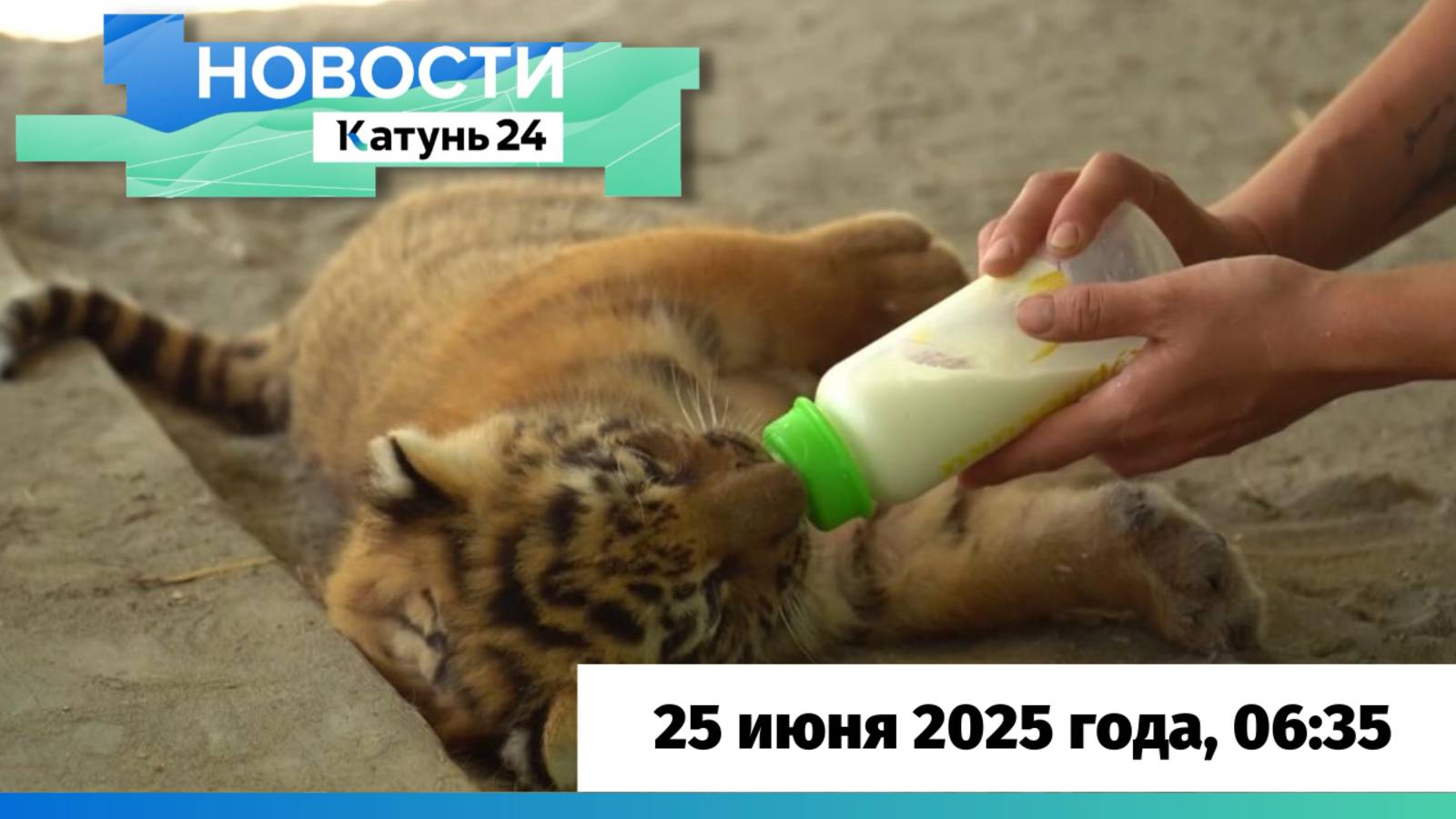 Новости Алтайского края 25 июня 2025 года, выпуск в 6:35