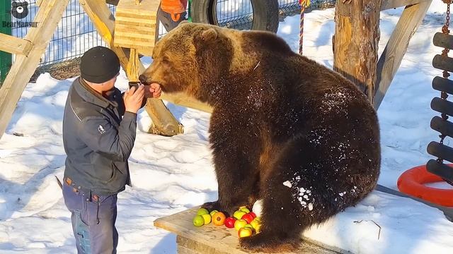 Господин Мансур, ваш завтрак подан, приятного аппетита