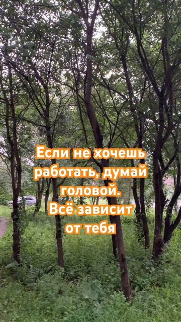 Думай