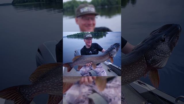 ПОД НАМИ ЩУКА!!!! КАК КЛЮЮТ МАМКИ?!?! СНОВА ТРОФЕЙ!!! #fishing #norstream #спиннинг #рыбалка