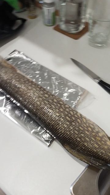Щука