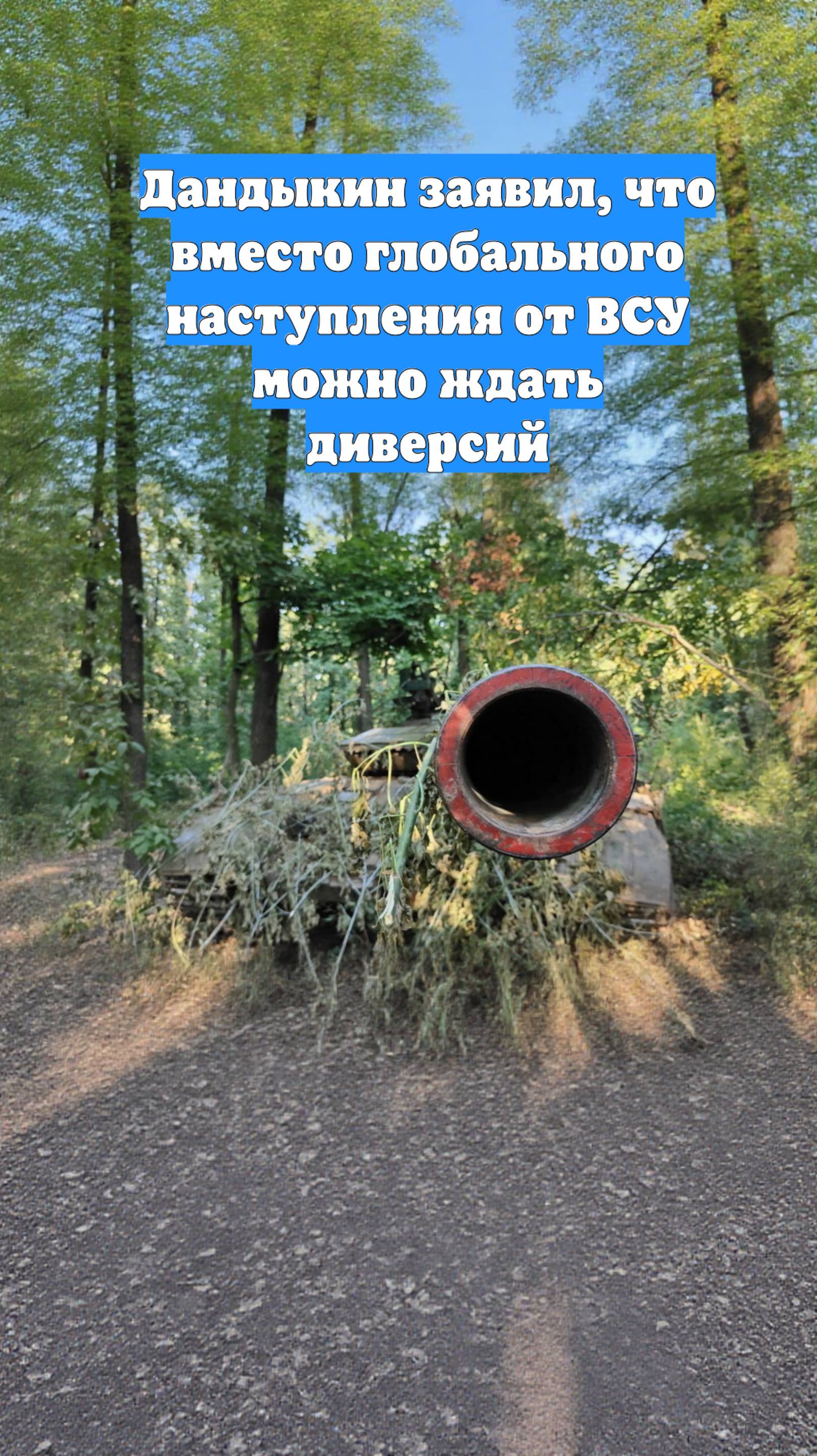 Дандыкин заявил, что вместо глобального наступления от ВСУ можно ждать диверсий