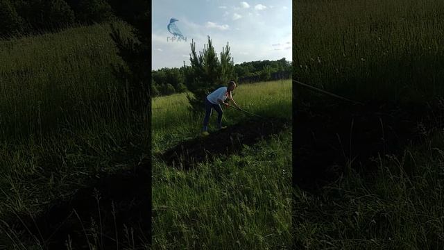 Первые посадки