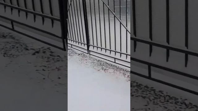Сколько снега..Пружинка//Snow in the south of Russia.