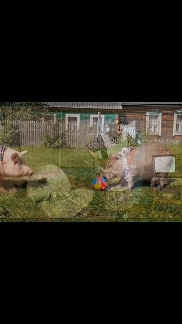 ВОТ ЭТО ПРИКОЛ