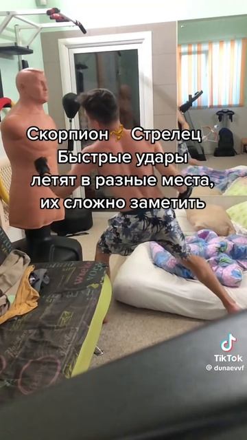 зодиаки