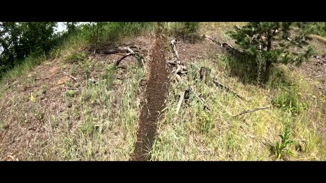 Местный_лайт.mp4