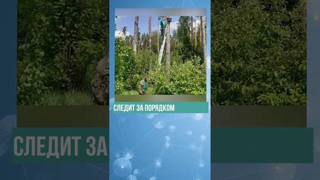 Дайджестдня 24 июня 2025 года