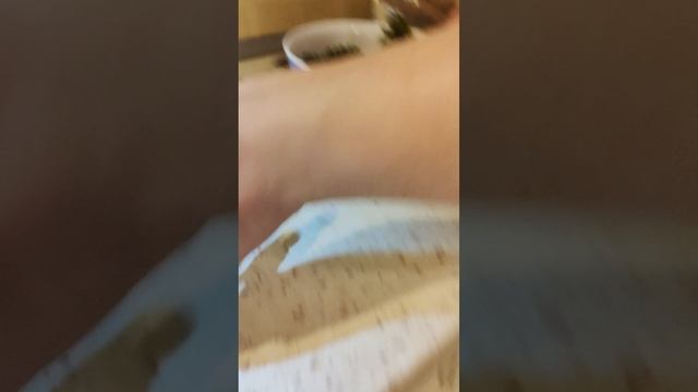 1000012293.mp4