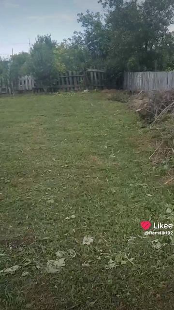 сенокос☺️