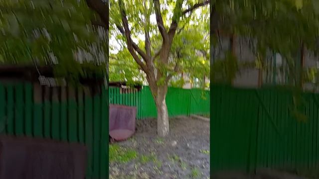 1000001059.mp4