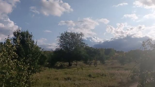 темнеет на горизонте