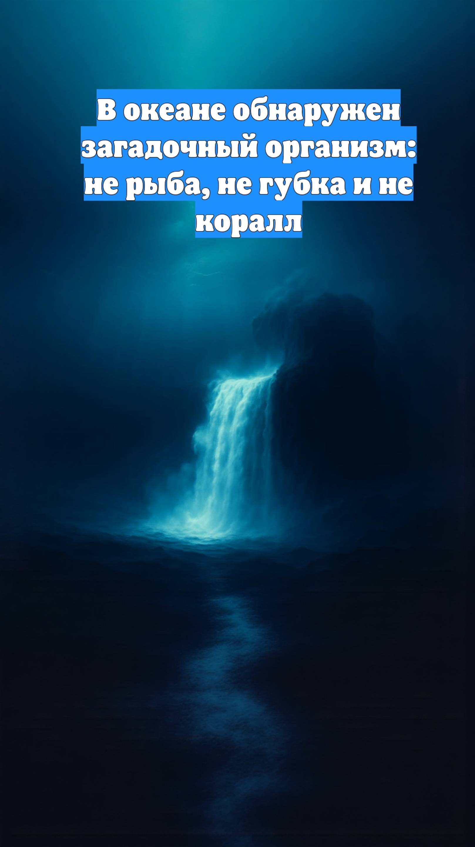 В океане обнаружен загадочный организм: не рыба, не губка и не коралл