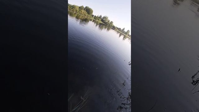 первые поклёвки нового сезона
