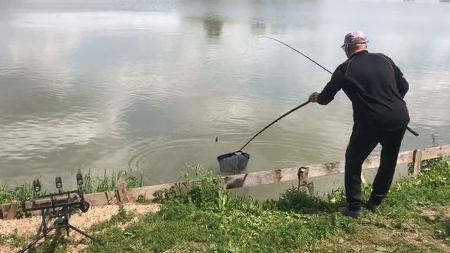 поимка карпа на флэт