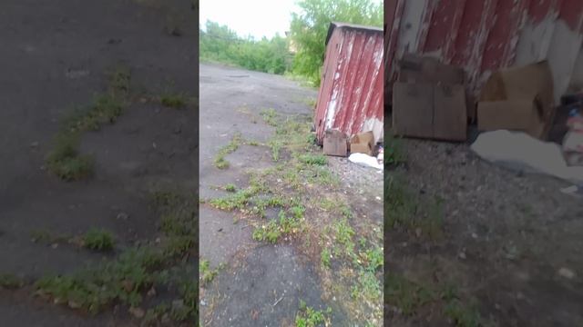 VID_20250624_163653