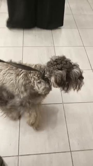 1000079606.mp4