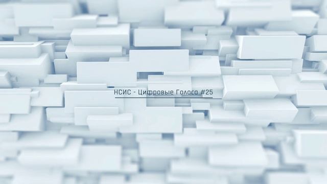 НСИС - Цифровые Голоса - Выпуск #25 : Коммерческие продукты для СК