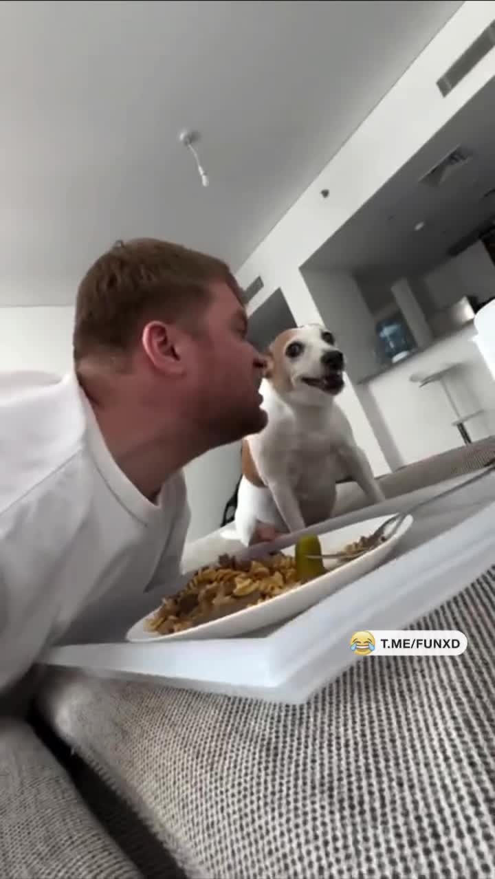 Иногда им просто нужно объяснить на их языке😆