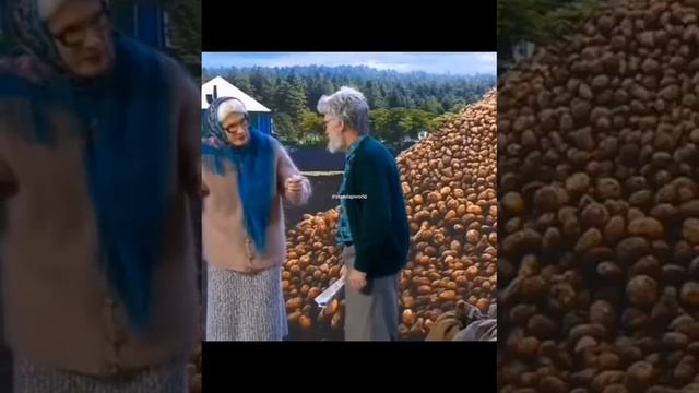 ЮМОР!  🙂