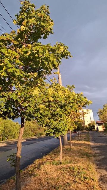 Какая красивая РАДУГА❤️🔥