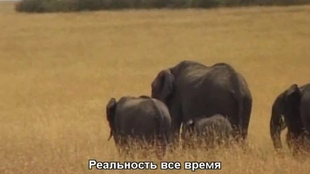 ОШО — Ошо о медитации. Алмазные россыпи