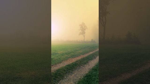 Туман и перекрёсток.
