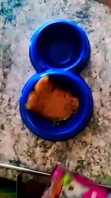 Еда котику!😮💨