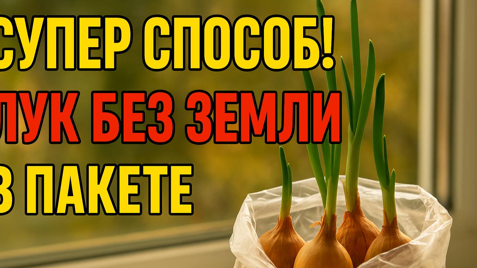 Лук без земли и грязи? Удивительный способ в обычном пакете!