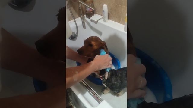 1000400985.mp4