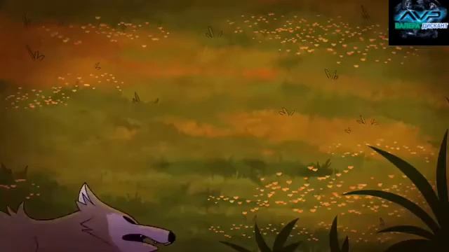 1000001210.mp4