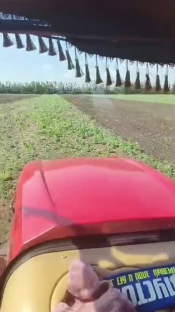 Работа дискатора Carbon D10500 в очередной раз продемонстрировал идеальную работу💚