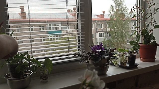 Влог за несколько дней🌼 Уборка в спальне🧺