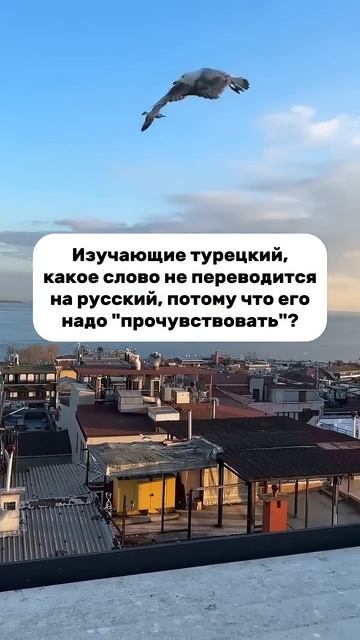 Чувствуете разницу между языками? Регистрация на бесплатный вебинар по ссылке