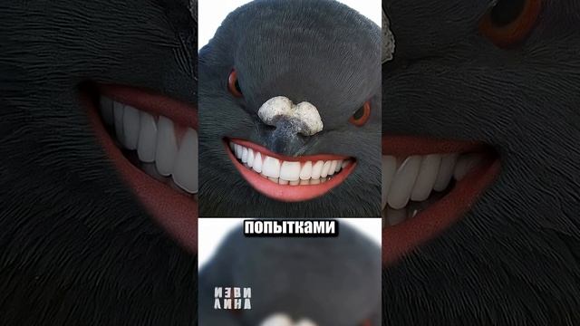 падала в суд на голубя  😱😱😱