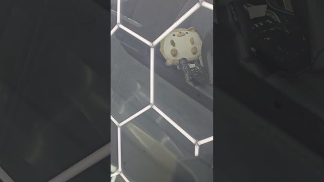 не обучение ПДР. Щербинка.