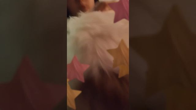 1000000717.mp4