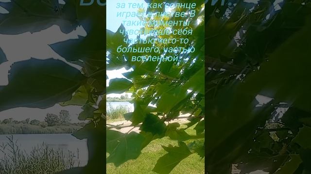 Природа России