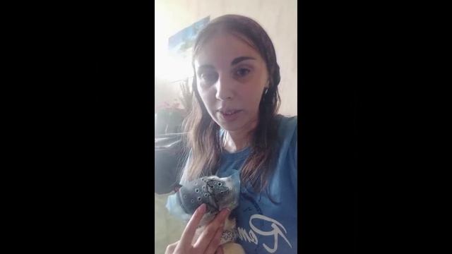 разные вещи для лечения ушнова клеща,и  сумка переноска🌿🪴
#разные #вещи #для #лечения #ушнова #кле
