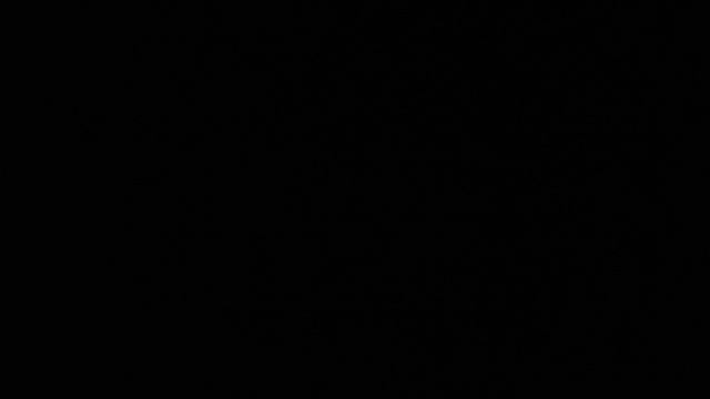 1000030450.mp4