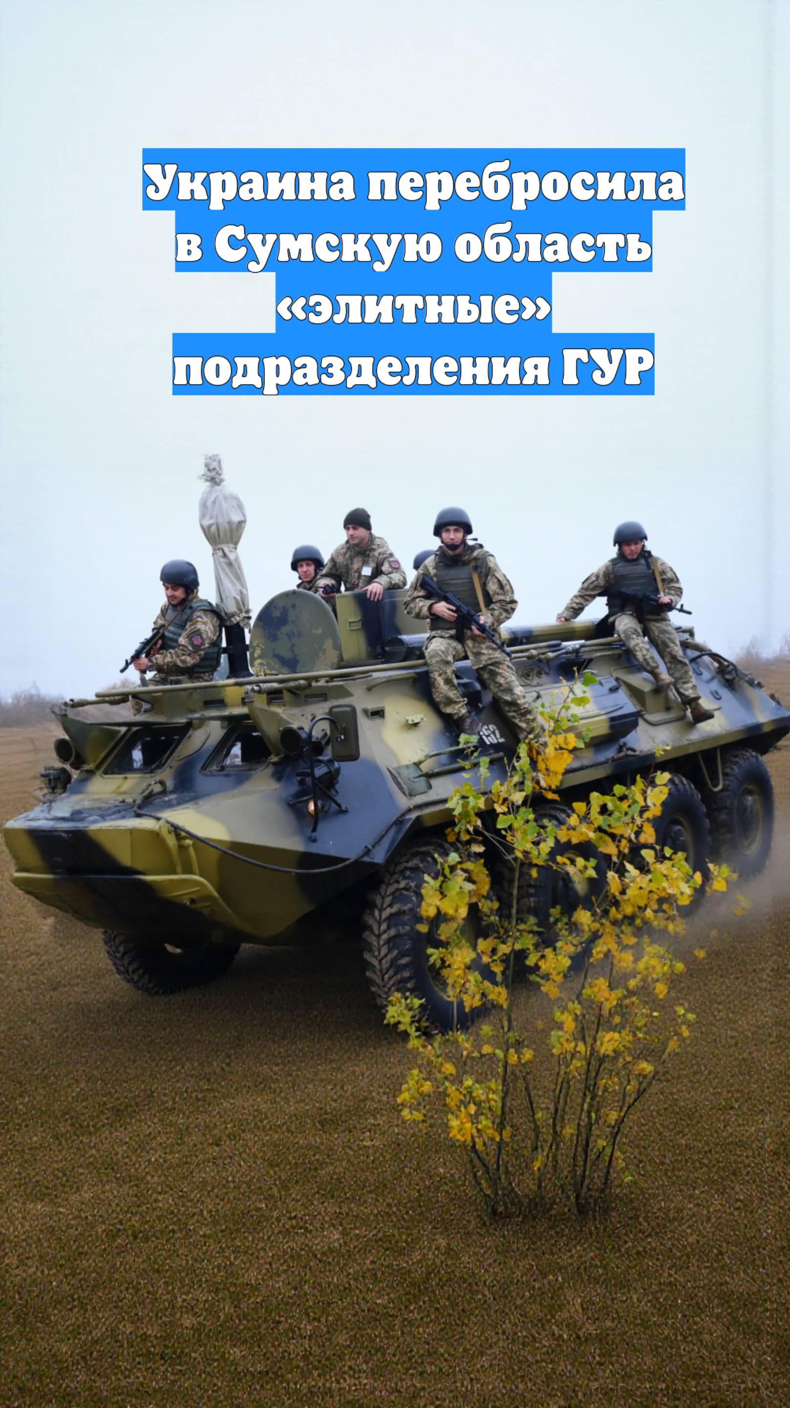Украина перебросила в Сумскую область «элитные» подразделения ГУР
