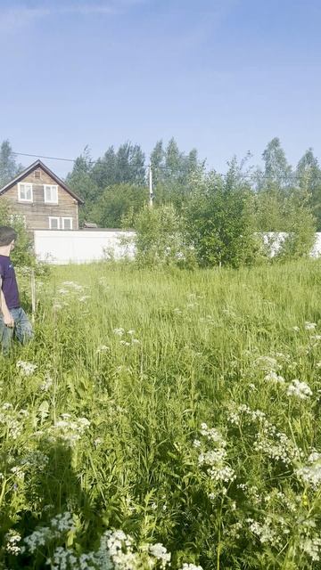 СНТ МОРОЗОВО 10 СОТОК