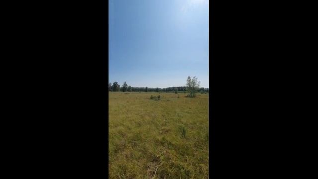 20250611_144607 (online-video-cutter.com)